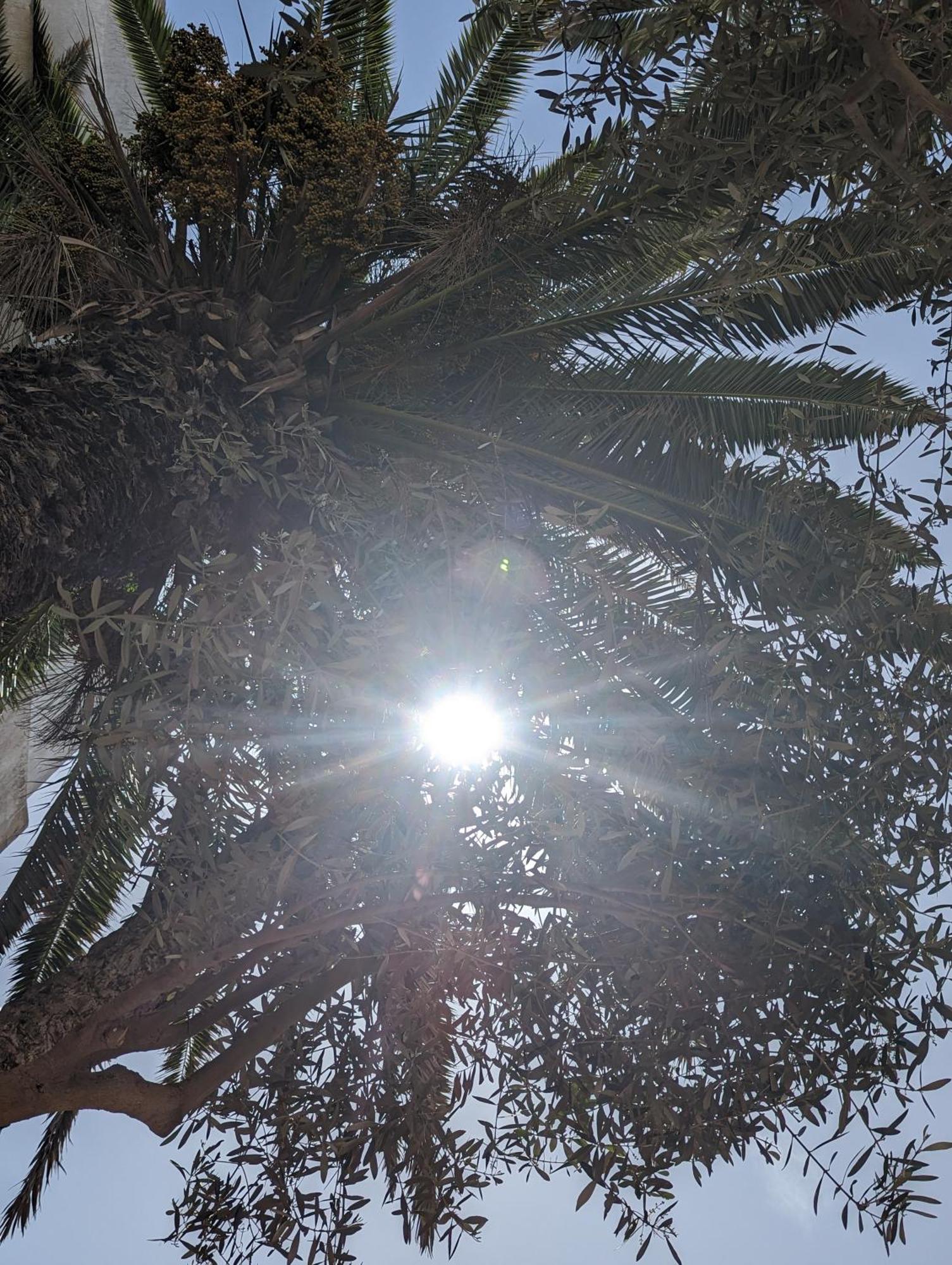 Aghata Palms Riad Есувейра Екстериор снимка